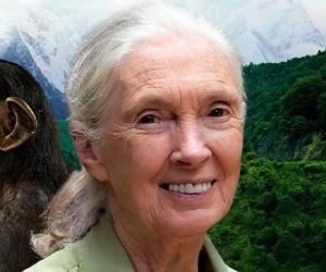 Jane Goodall Bijografija
