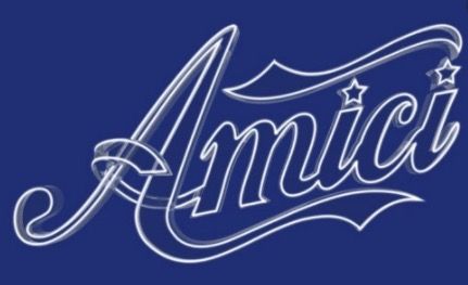 Amici 20: Concorrenti, Puntate, Professori e Vincitori