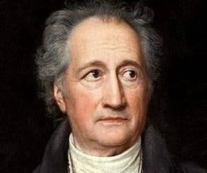 Johann Wolfgang von Goethe Biografi